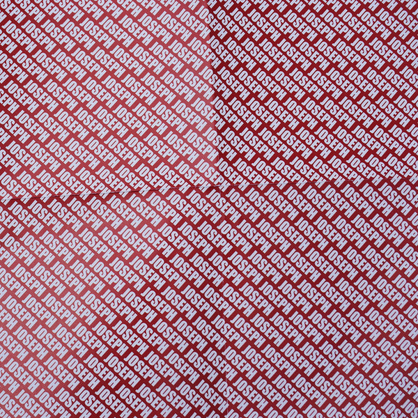 Joseph's Game - GoForItGames-USA